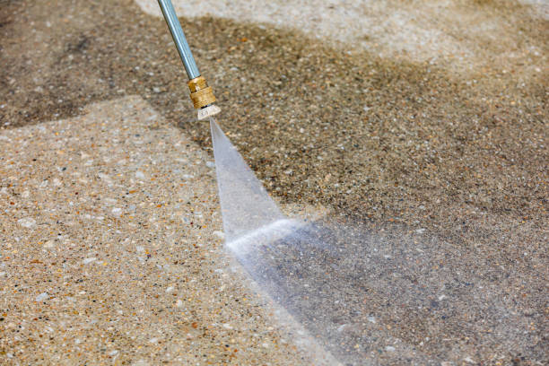 Best Animal Enclosure Cleaning  in Pimlico, SC
